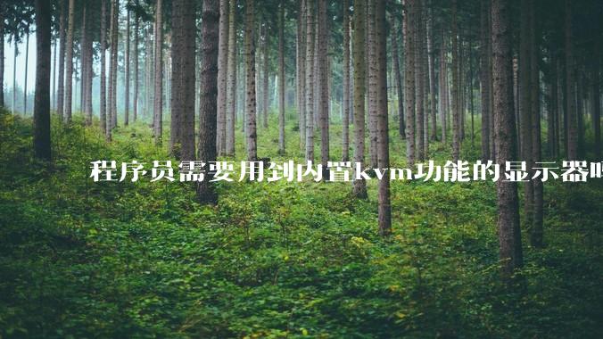 程序员需要用到内置kvm功能的显示器吗?或者是外置的kvm切换器吗?