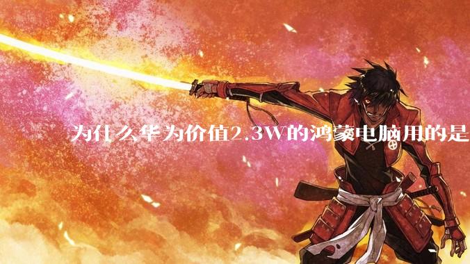 为什么华为价值2.3W的鸿蒙电脑用的是美国西数的SN740固态硬盘?