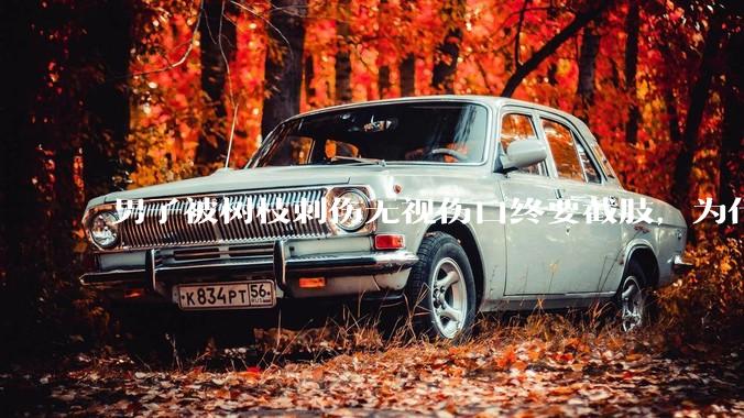 男子被树枝刺伤无视伤口终要截肢，为什么会造成这么严重的后果？被植物划伤后的正确处理方式有哪些？