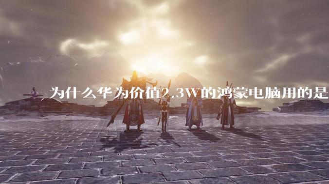 为什么华为价值2.3W的鸿蒙电脑用的是美国西数的SN740固态硬盘?