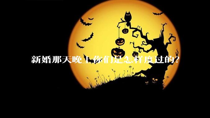 新婚那天晚上你们是怎样度过的？