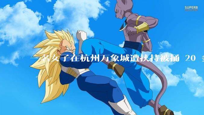 一名女子在杭州万象城遭挟持被捅 20 多刀,隆胸***体救了一命,这反映出哪些公安系统的问题?