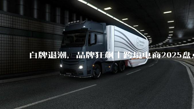 白牌退潮，品牌狂飙｜跨境电商2025盘点_平台_全球_中国