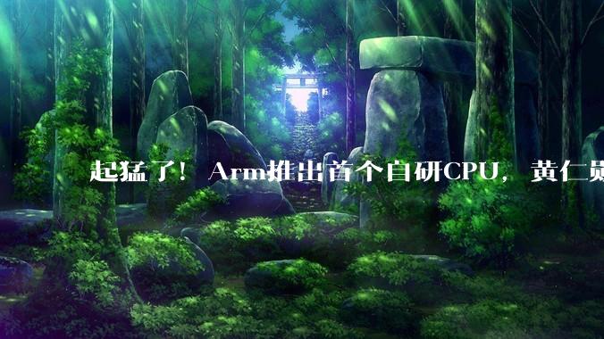 起猛了！Arm推出首个自研CPU，黄仁勋贴大脸发言_芯片_Rene_支持