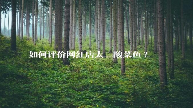 如何评价网红店太二酸菜鱼?