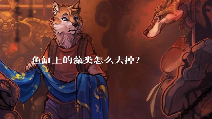 鱼缸上的藻类怎么去掉？