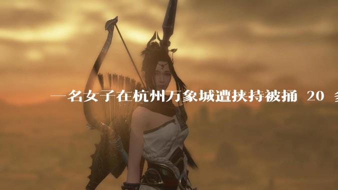 一名女子在杭州万象城遭挟持被捅 20 多刀,隆胸***体救了一命,这反映出哪些公安系统的问题?