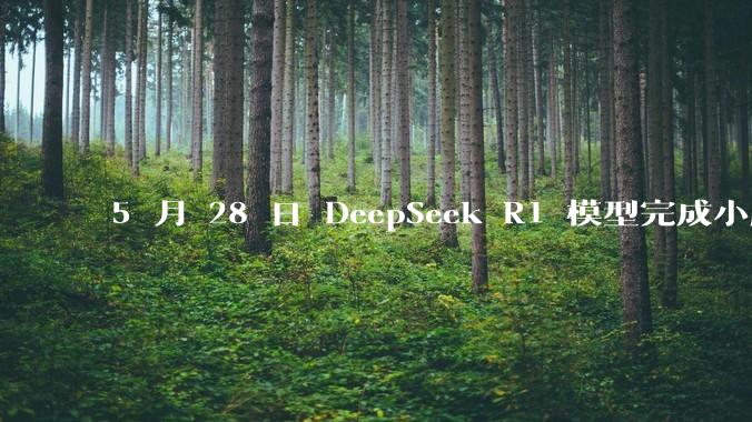 5 月 28 日 DeepSeek R1 模型完成小版本试升级并开源，具体有哪些提升？使用体验如何？