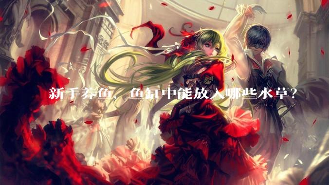新手养鱼，鱼缸中能放入哪些水草？
