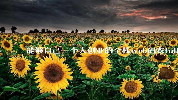 能够自己一个人创业的全栈web码农fullstack developer要会哪些技术?