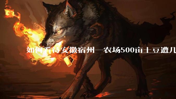 如何看待安徽宿州一农场500亩土豆遭几百名村民哄抢,曝光后民警要求种植户删帖?法不责众?如何有效维权?