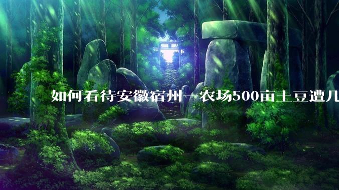 如何看待安徽宿州一农场500亩土豆遭几百名村民哄抢,曝光后民警要求种植户删帖?法不责众?如何有效维权?