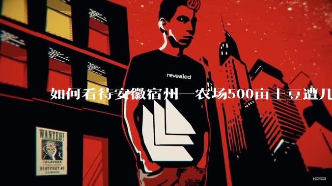 如何看待安徽宿州一农场500亩土豆遭几百名村民哄抢,曝光后民警要求种植户删帖?法不责众?如何有效维权?
