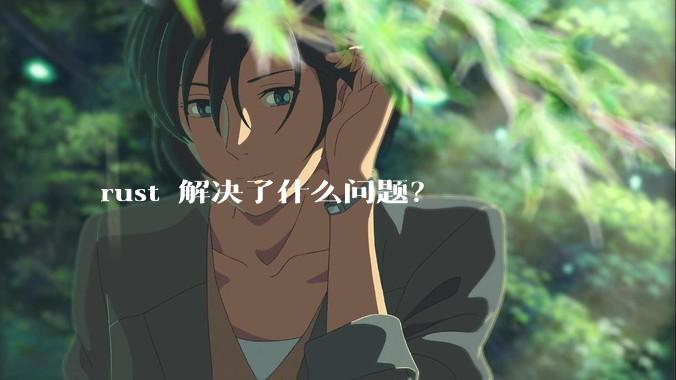 rust 解决了什么问题？