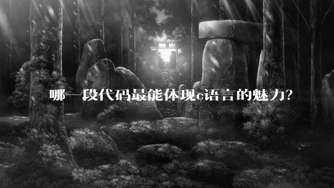 哪一段代码最能体现c语言的魅力?
