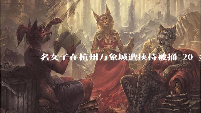 一名女子在杭州万象城遭挟持被捅 20 多刀,隆胸***体救了一命,这反映出哪些公安系统的问题?