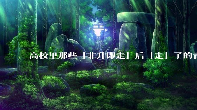 高校里那些「非升即走」后「走」了的青年教师都怎么样了？