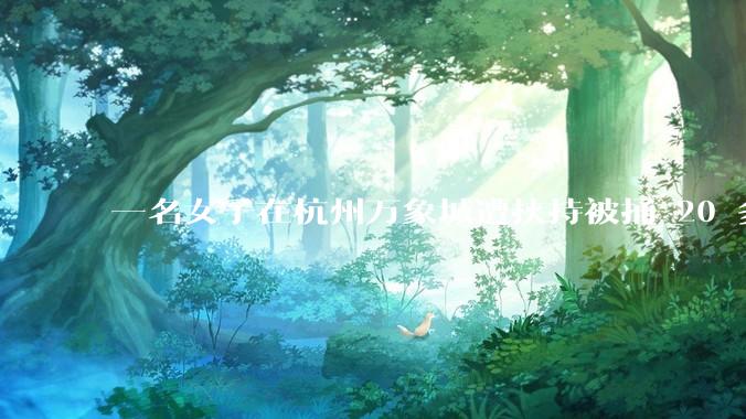 一名女子在杭州万象城遭挟持被捅 20 多刀,隆胸***体救了一命,这反映出哪些公安系统的问题?