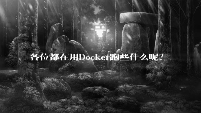 各位都在用Docker跑些什么呢？