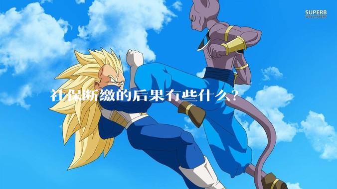 社保断缴的后果有些什么？